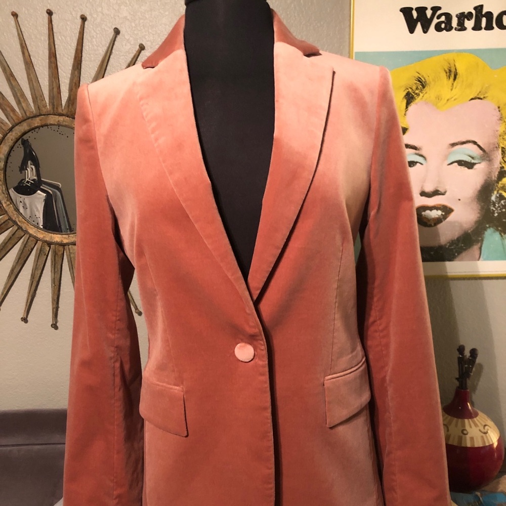 Frame velvet blazer in dusty rose, size 6
